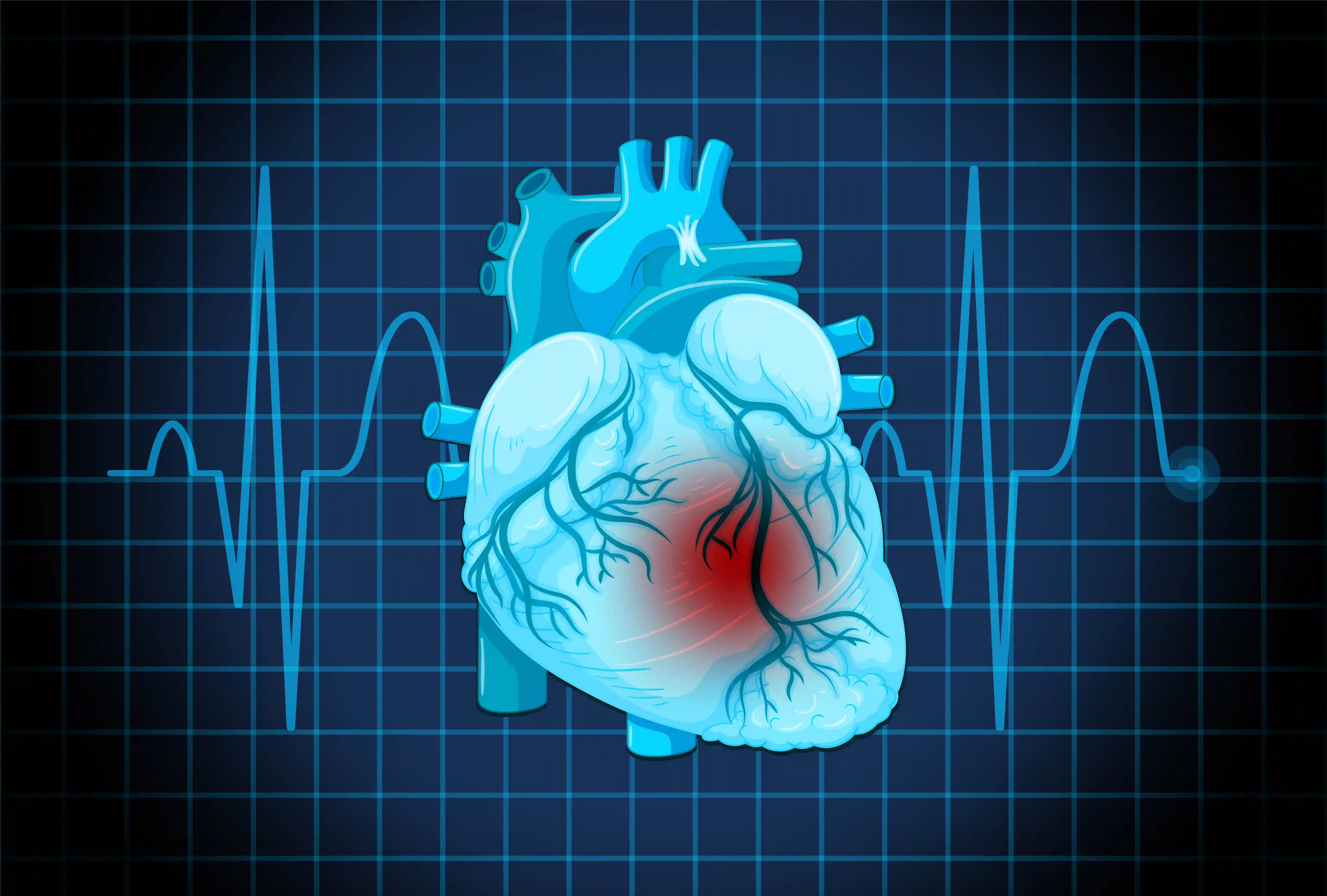 الدليل الشامل للتغذية العلاجية: استراتيجيات التعامل مع انخفاض ضغط الدم وأهم 10 أطعمة داعمة